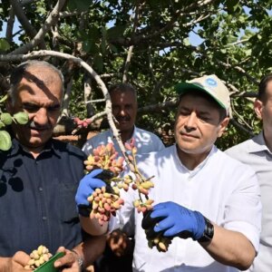 antep fistiginin ilk hasadi davul zurna esliginde yapildi l27rdvbb