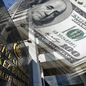 firmalarin doviz davranisi degisti 9vX2Ki8h