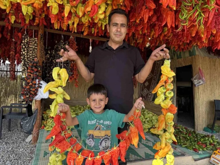 kale biberi dunyaya tanitiliyor u6Yy9GT2