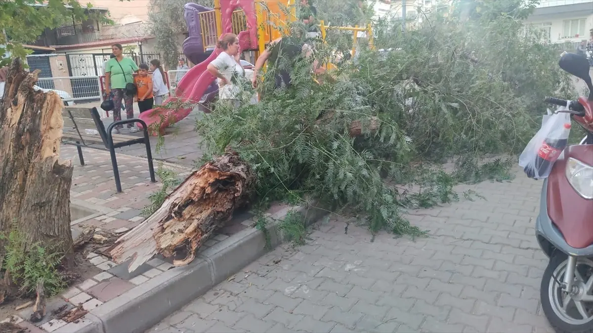 ruzgar devrilen agac altinda 2 kadin yaralandi fG79za6J