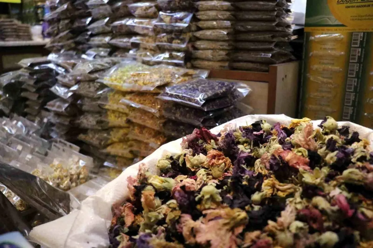 sakaryada soguk alginligina karsi aktarlara yogun ilgi w8MBpUKR