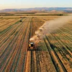 tuik tahmini aciklandi tarimsal uretim dusecek xUIRlMJ5.webp