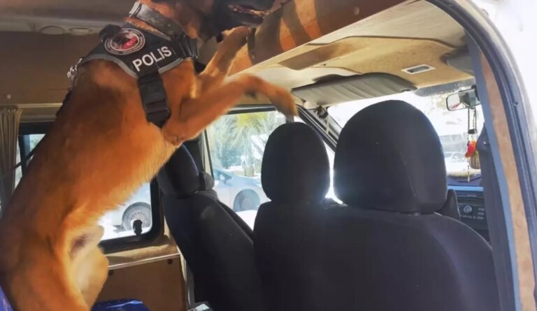 vanda uyusturucu operasyonu yPcDB6HH.jpg