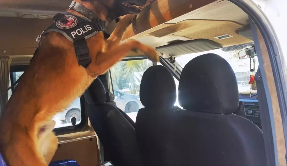 vanda uyusturucu operasyonu yPcDB6HH.jpg