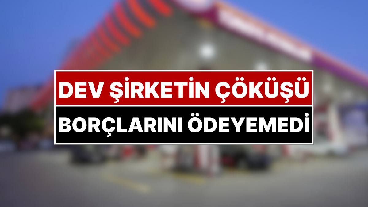 bir devin cokusu turkiyenin en buyuk sirketiydi simdi borclarini odeyemiyor ZuWR2qxD.jpg