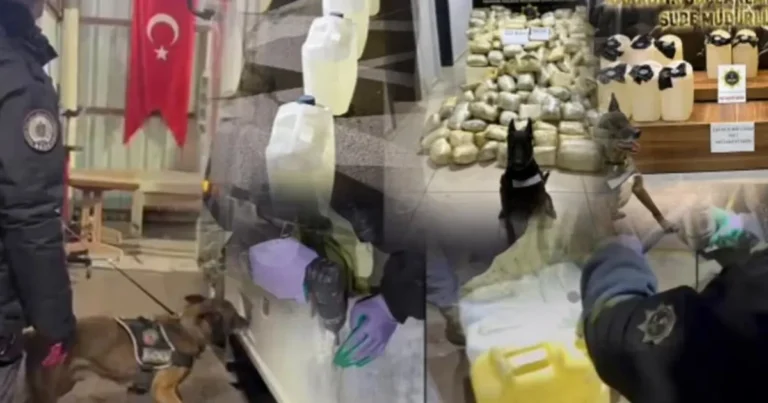 erzurum-ve-mersinde-447-kilogram-uyusturucu-3-gozalti-ZsQ54X29.webp