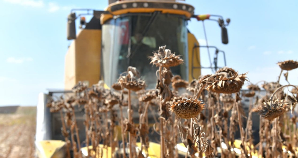 tarim gida ve icecek sektorunden 1967 milyar dolarlik ihracat V6xvnfh8.jpg