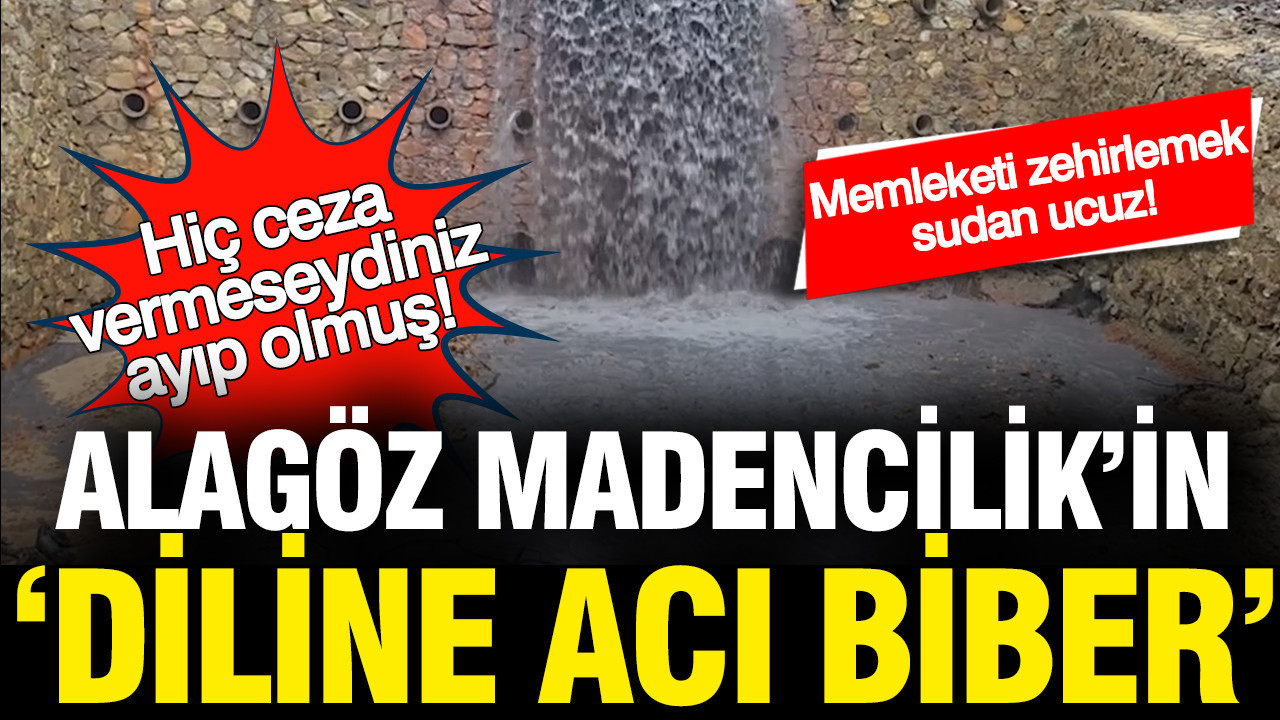 Alagöz Madencilik’e Çevre İhlalinden Cezası: 2,5 Milyon Lira