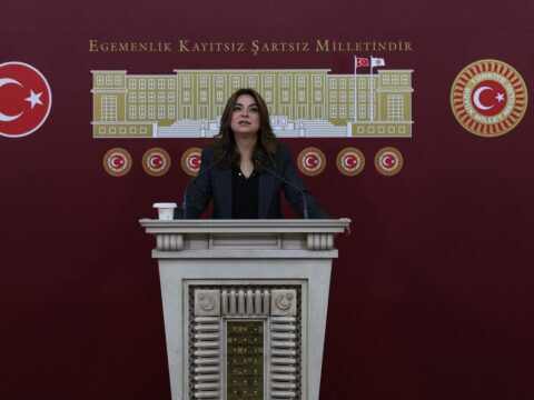 Koçyiğit: Barış İçin Hukuksal Adımlar Şart