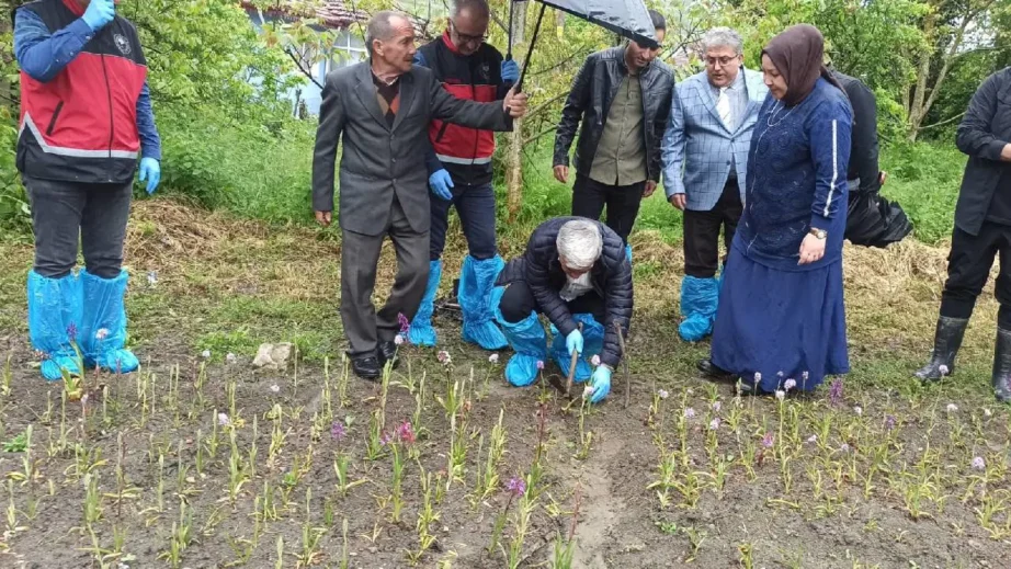 Doğa Yürüyüşüyle Başlayan Girişim: Salep Yetiştiriciliği ile Ekonomik Başarı