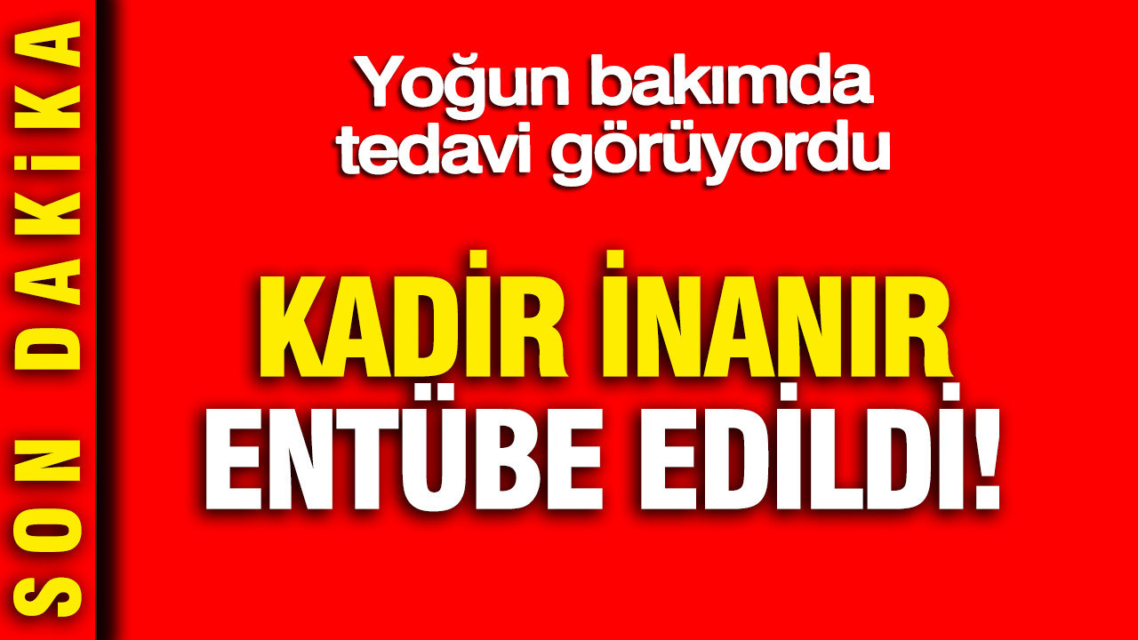 Antik Küpleri Ağaç Kökleri Arasında Keşfedildi