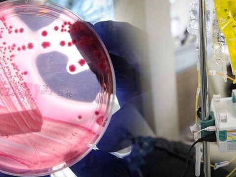 Kanserin Kökeni Bulundu: Tedavi Yöntemlerinde Devrim Yaratabilir