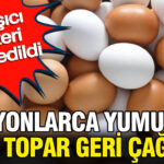 Milyonlarca yumurta apar topar geri cagrildi bulasici bakteri tespit edildi Wx3b6UK7