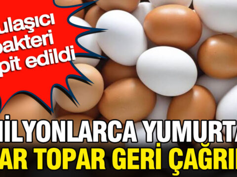 Milyonlarca yumurta apar topar geri cagrildi bulasici bakteri tespit edildi Wx3b6UK7