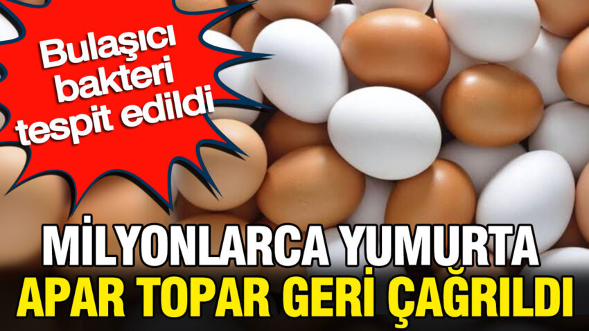 Milyonlarca yumurta apar topar geri cagrildi bulasici bakteri tespit edildi Wx3b6UK7