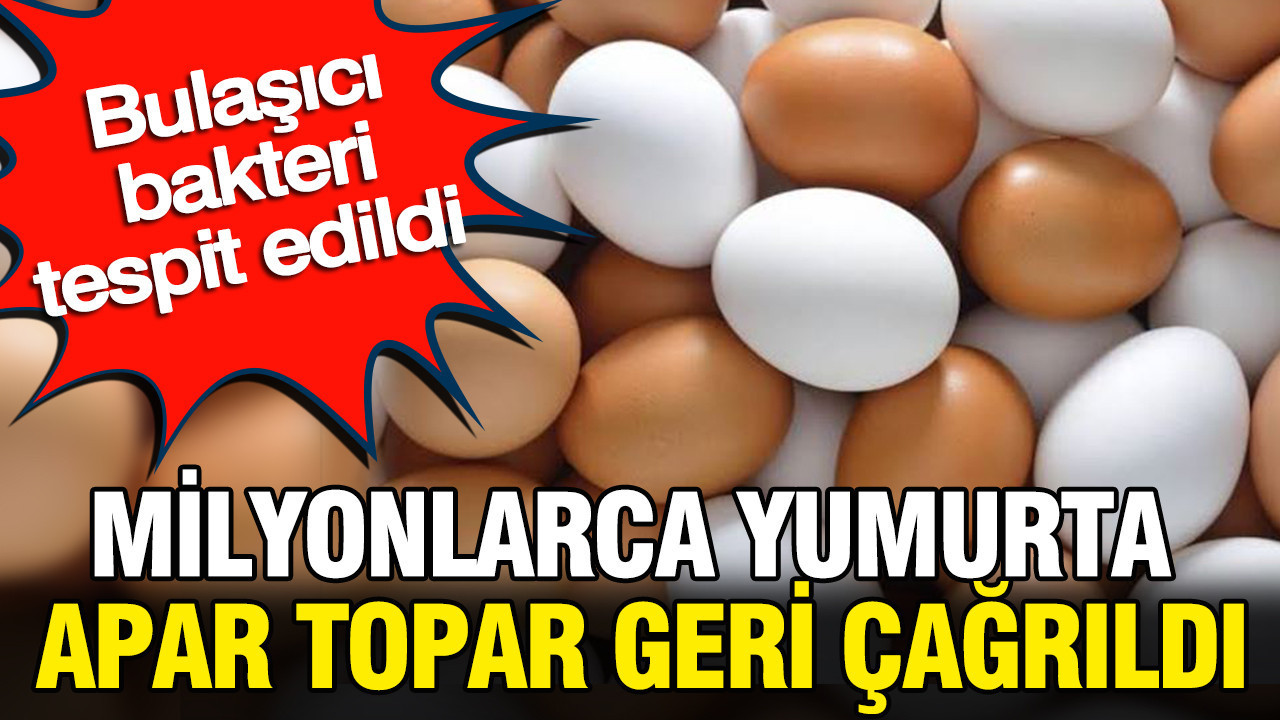 Milyonlarca yumurta apar topar geri cagrildi bulasici bakteri tespit edildi Wx3b6UK7